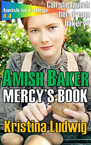 Amish Baker book cover