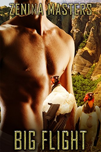 Big Flight book cover