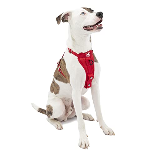 kurgo harness petsmart