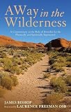 A Way In The Wilderness A Commentary On The Rule Of Benedict For The Physically And Spiritually Imprisoned English Edition