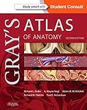 Grays Atlas Of Anatomy Ebook Grays Anatomy English Edition