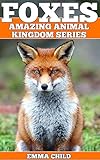 Foxes Fun Facts And Amazing Photos Of Animals In Nature Amazing Animal Kingdom Book 10 English Edition