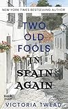 Two Old Fools In Spain Again English Edition