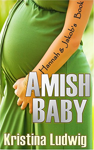 Amish Baby book cover
