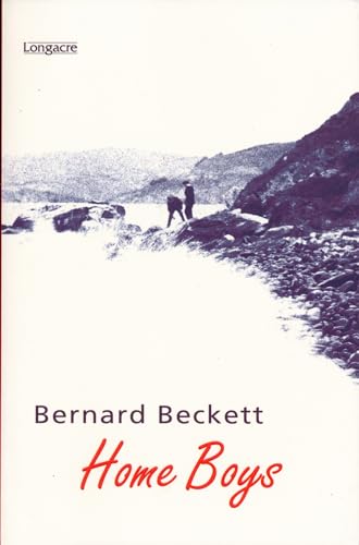 Home Boys book cover