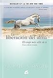 La Liberacin Del Alma El Viaje Ms All De Ti Mismo Advaita Spanish Edition