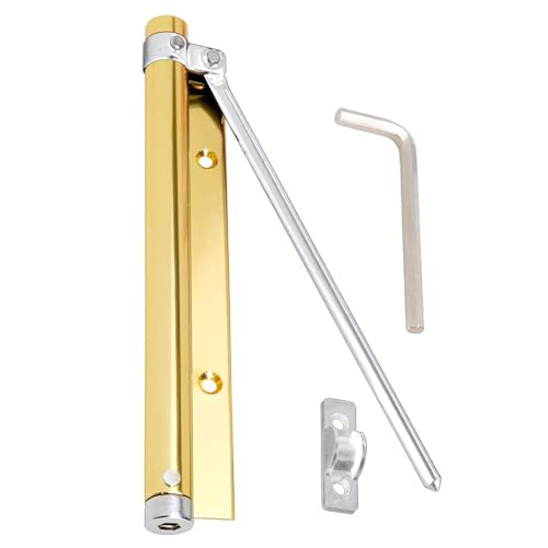Wolfpack - b.1 Gold-Coloured Anodized Aluminium Door Closer