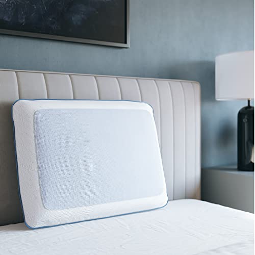 Cool Gel Cooling Pillow for Sleeping, Standard Size Cooling Memory Foam Pillow for Hot Sleepers, Reversible Ergonomic Design, Pressure Relief, Spine Alignment, Side, Back Contouring Support