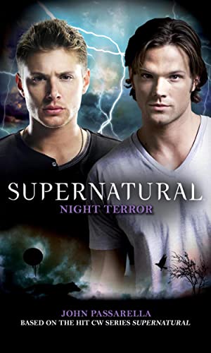 Night Terror book cover