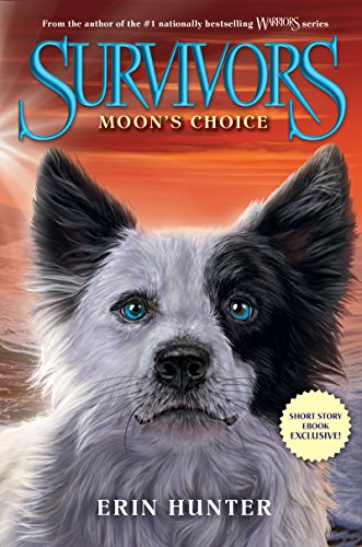 Moon's Choice book cover