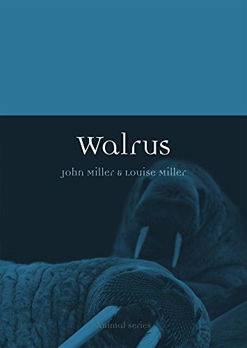 Walrus (By: John Miller,Louise Miller) cover