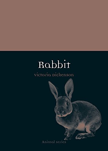 Rabbit book cover