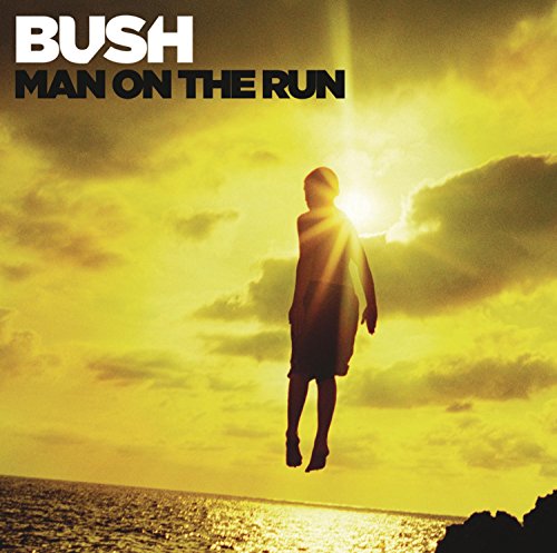 Man on the Run (Deluxe Edition)