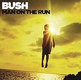 Man On The Run (2014)