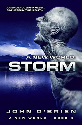 Storm book cover