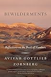 Bewilderments Reflections On The Book Of Numbers English Edition