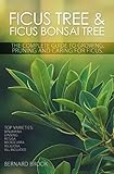 Ficus Tree And Ficus Bonsai Tree The Complete Guide To Growing Pruning And Caring For Ficus Top Varieties Benjamina Ginseng Retusa Microcarpa Religiosa All Included English Edition