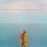 Andrew McMahon In The Wilderness (2014)