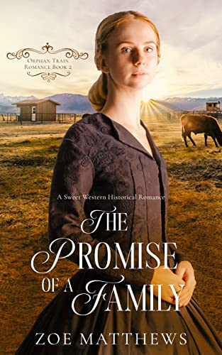 The Promise of a Family book cover