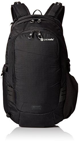 pacsafe camera backpack