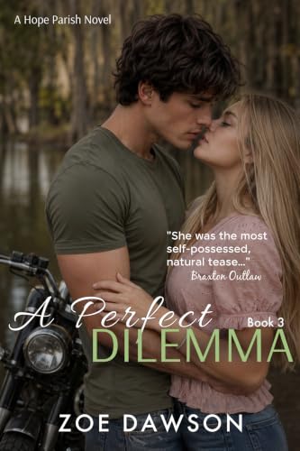 A Perfect Dilemma book cover