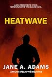 Heatwave Naomi Blake Book 3 English Edition