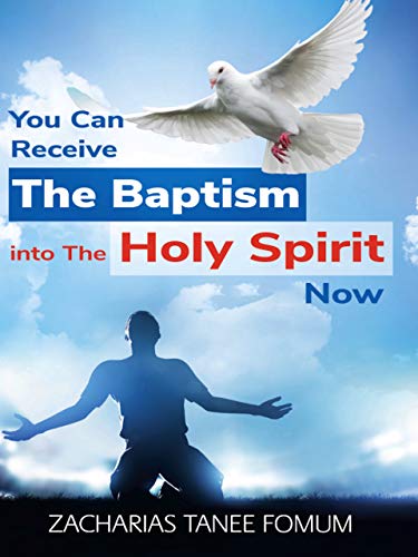 You Can Receive The Baptism Into The Holy Spirit Now book cover