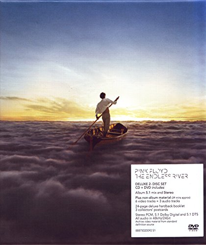The Endless River