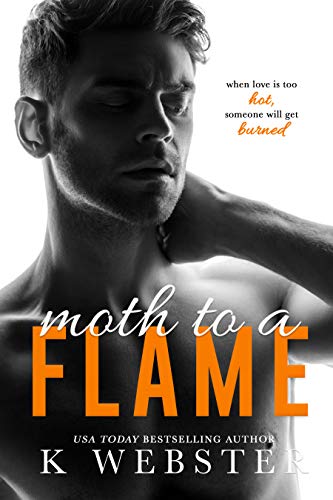 Moth to a Flame book cover