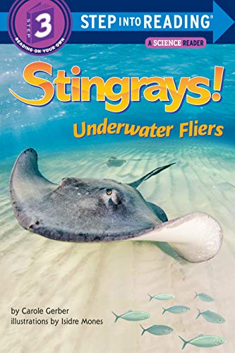 Stingrays! Underwater Fliers book cover