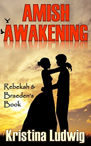 Amish Awakening book cover