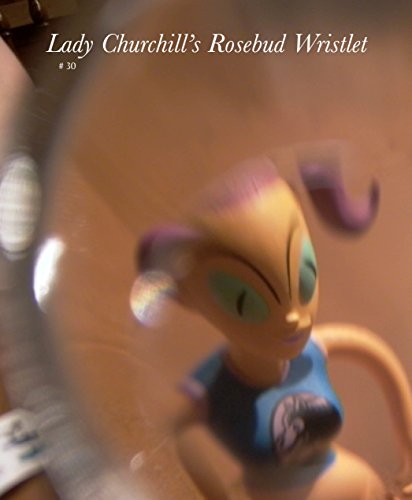 Lady Churchill's Rosebud Wristlet No. 30 (By: Kelly Link,Gavin J Grant) cover