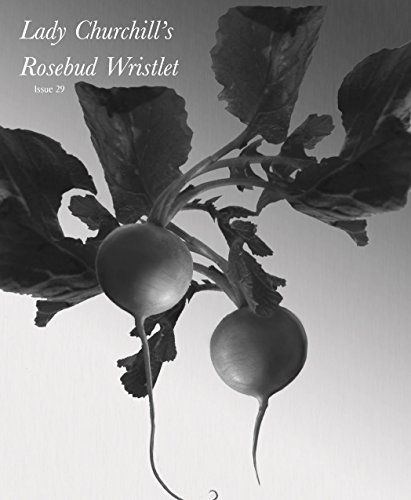 Lady Churchill's Rosebud Wristlet No. 29 book cover