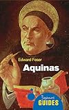 Aquinas A Beginners Guide Beginners Guides