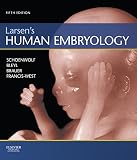 Larsens Human Embryology Ebook Schoenwolflarsens Human Embryology