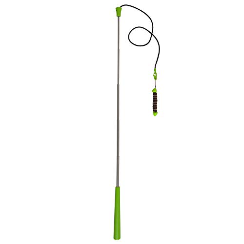 Petmate Jackson Galaxy Ground Prey Wand Toy