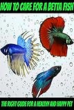 How To Care For A Betta Fish The Right Guide For A Healthy And Happy Pet English Edition