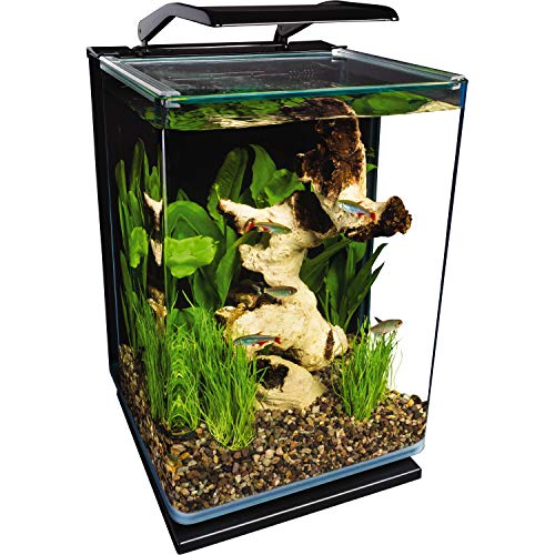 Marineland Portrait Glass LED Aquarium Kit 5 Gallons Hidden Filtration