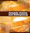 Controversies in juvenile justice and delinquency