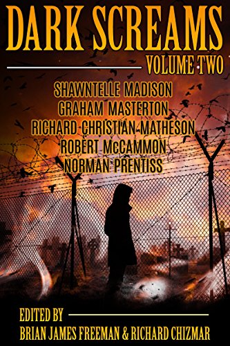 Dark Screams: Volume Two book cover