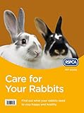 Care For Your Rabbits Rspca Pet Guide English Edition
