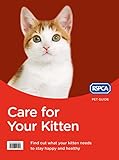 Care For Your Kitten Rspca Pet Guide English Edition