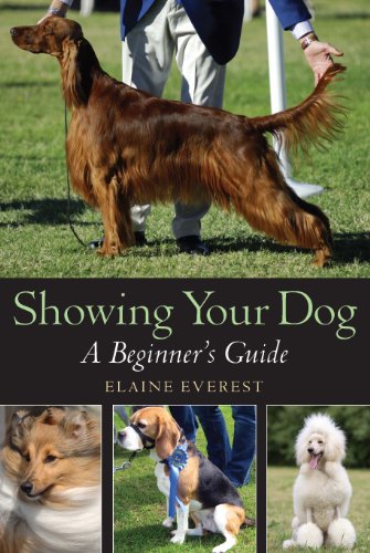 Showing Your Dog: A Beginner's Guide book cover