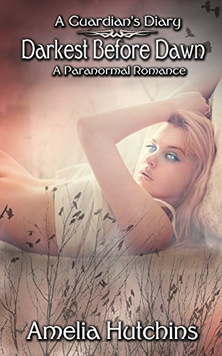 Darkest Before Dawn book cover