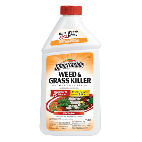 Spectracide Weed And Grass Killer Concentrate 32 Ounces Single