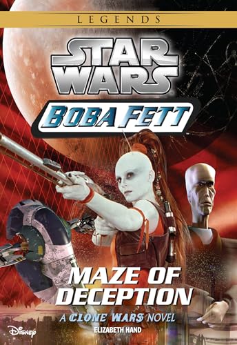 Maze of Deception book cover