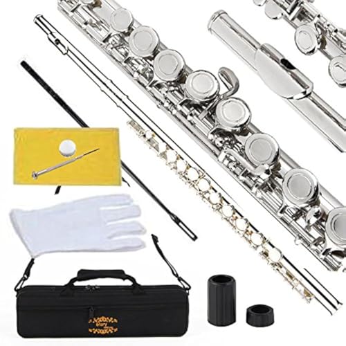 Glory Closed Hole C Flute With Case, Tuning Rod,Joint Grease and Cloth