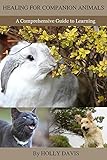Healing For Companion Animals A Comprehensive Guide To Learning English Edition