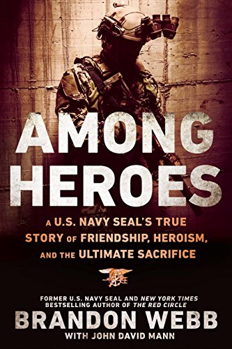 Among Heroes book cover