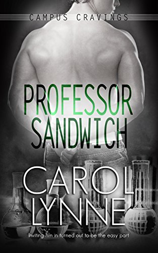 Professor Sandwich book cover